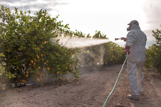 Best Best Pest Control Companies  in Jacksonville, FL