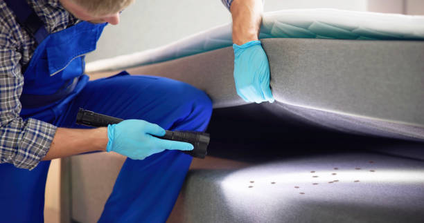 Best Ant Control Services  in Jacksonville, FL