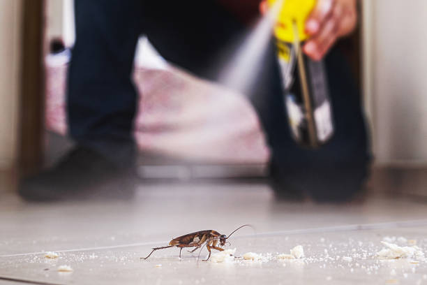 Best Pest Control Near Me in Jacksonville, FL